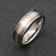Titanium Ring - Silver Zaket